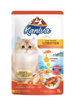 tuna topping lobster in soft jelly