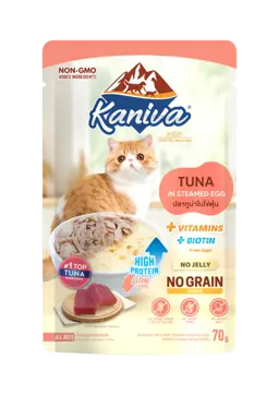 tuna in steamed egg