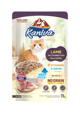 lamb in steamed egg