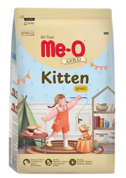 kitten