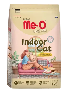 indoor cat