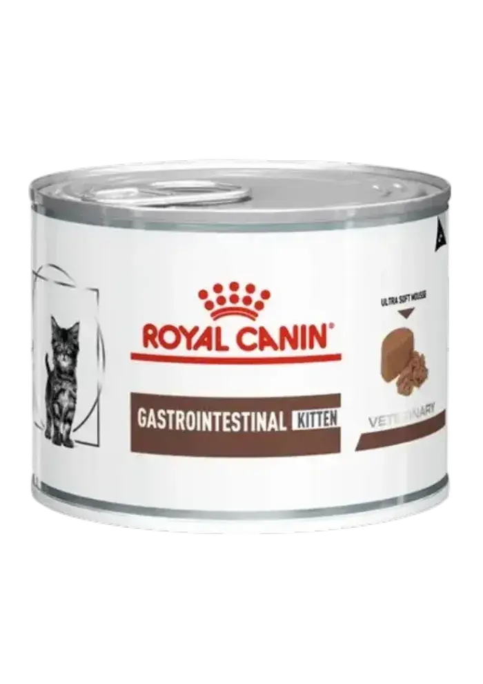 gastrointestinal kitten