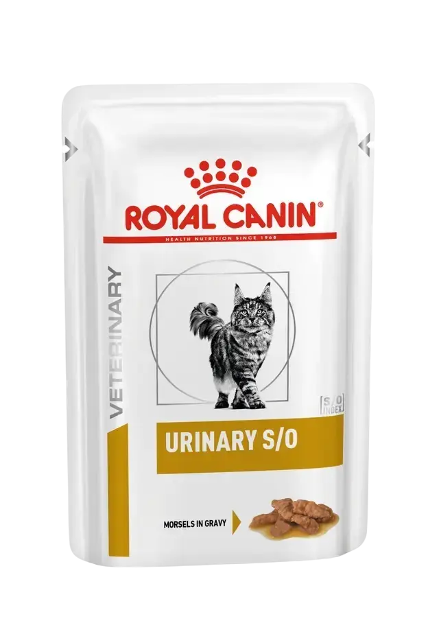 urinary s/o gravy