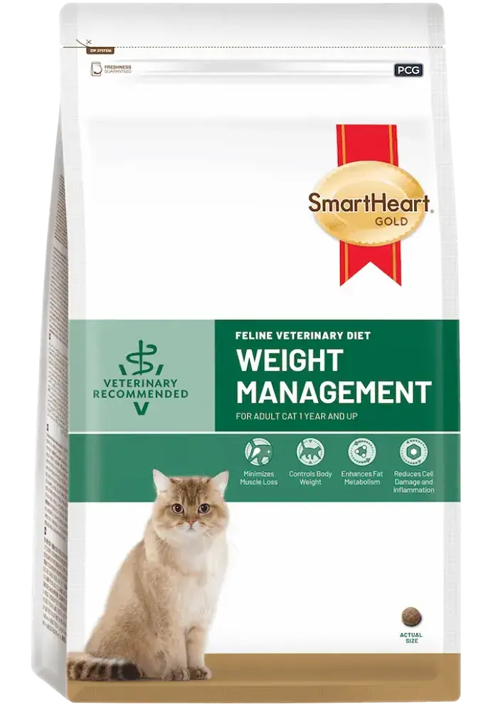 feline veterinary diet weight management