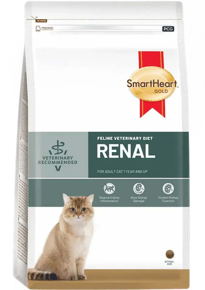 feline veterinary diet renal