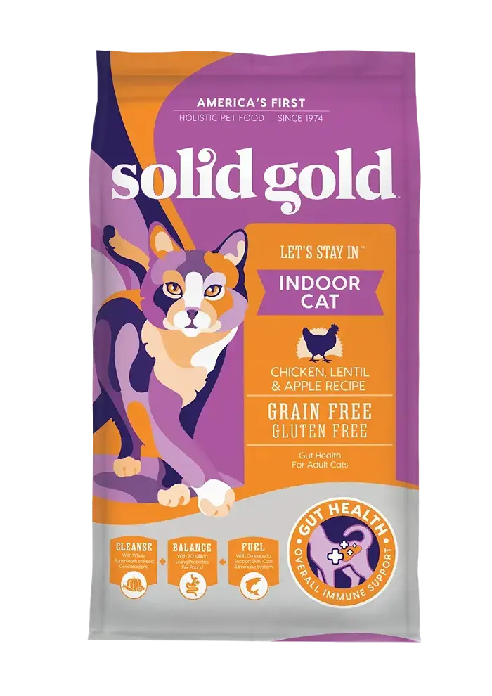 let's stay in indoor cat