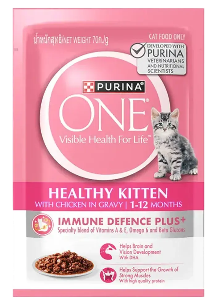 healthy kitten with chicken in gravy