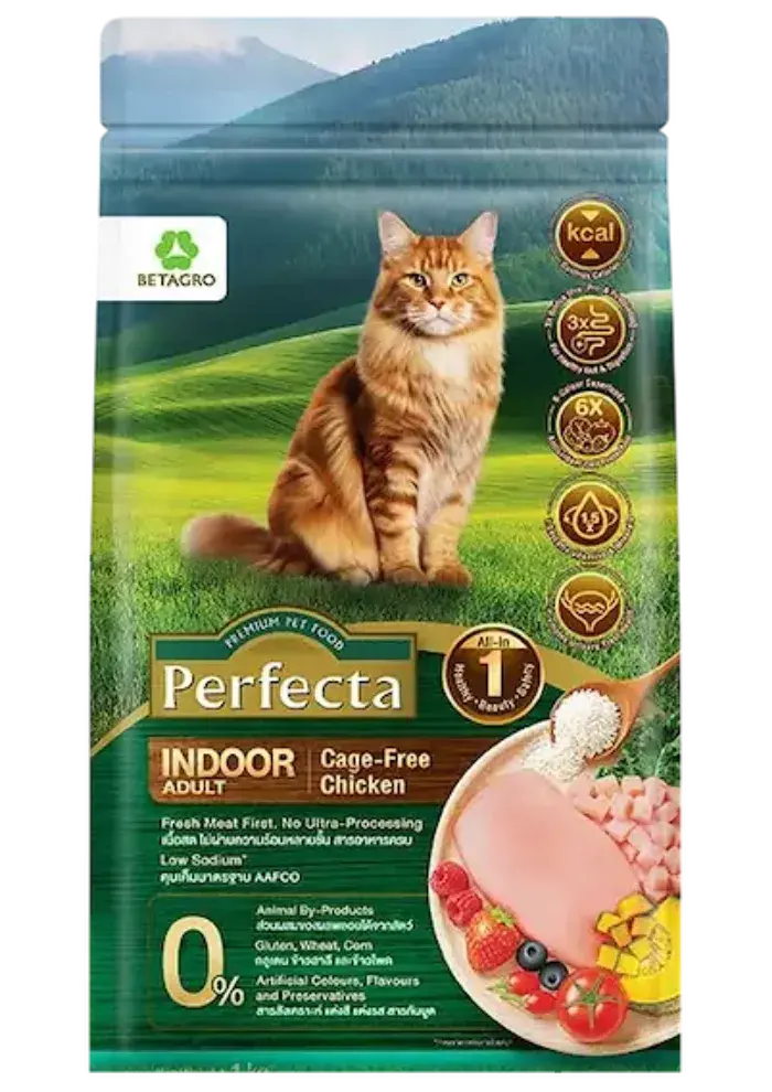 wellness indoor adult cage-free chicken