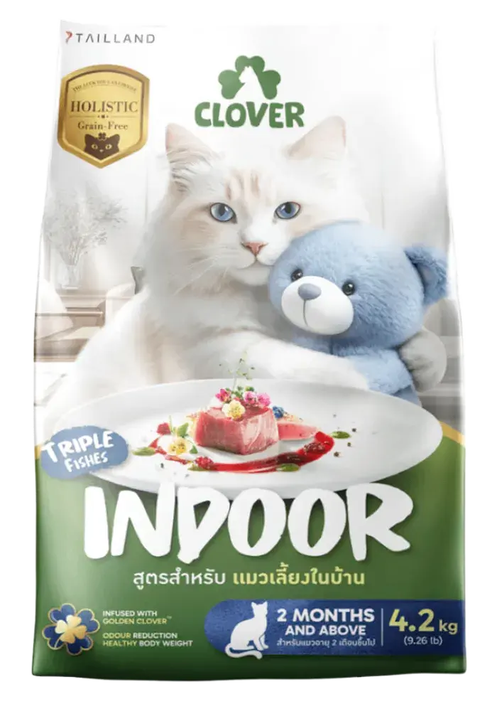 indoor