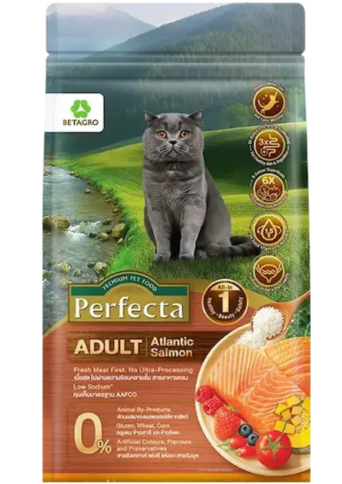 wellness adult atlantic salmon