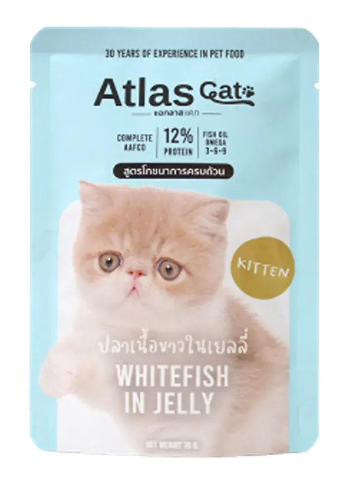 white fish in jelly for kitten