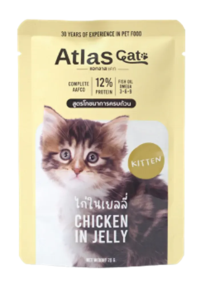 chicken in jelly for kitten