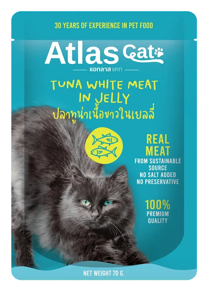 tuna white meat in jelly