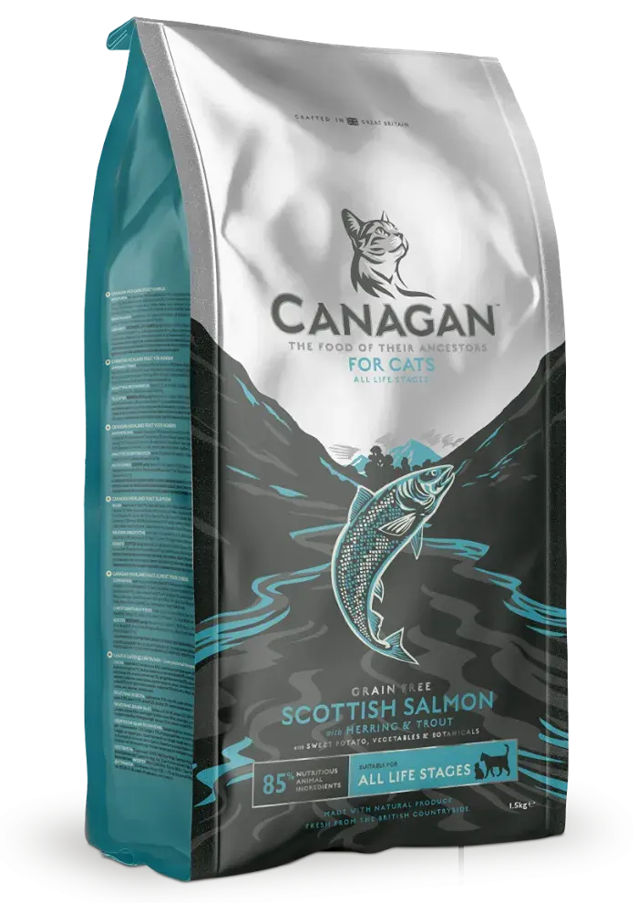 scottish salmon