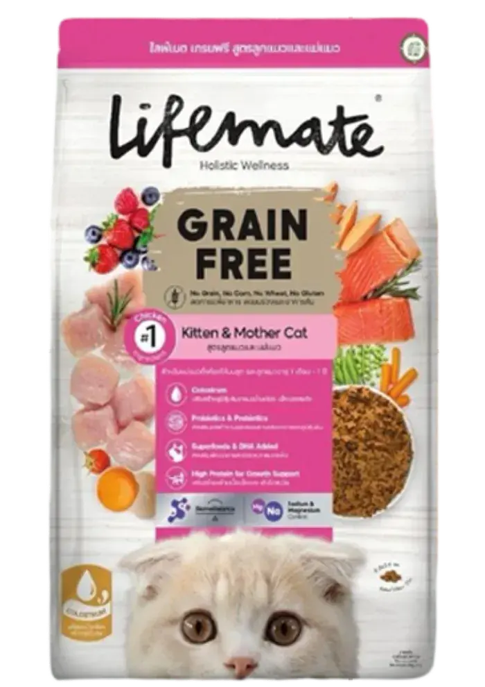 grain free kitten & mother