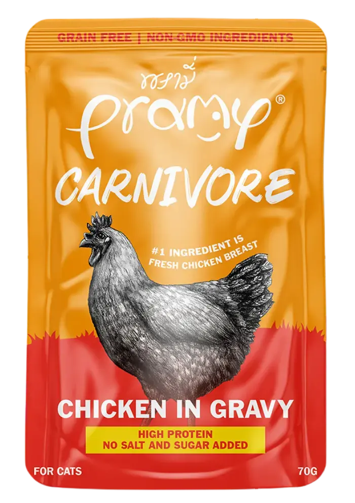 carnivore chicken in gravy