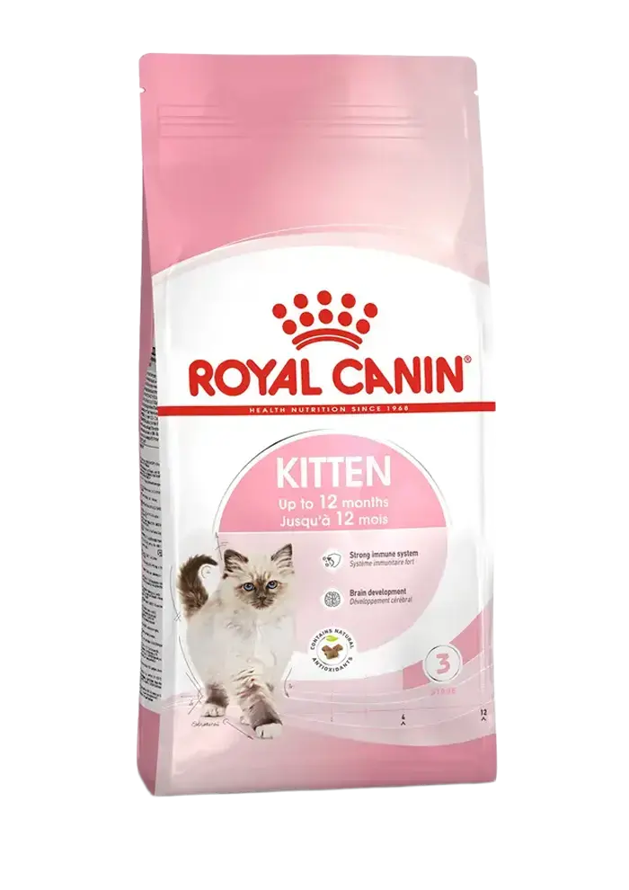 kitten