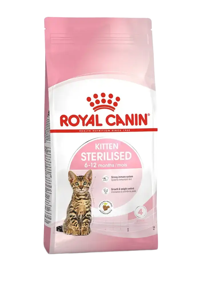kitten sterilised