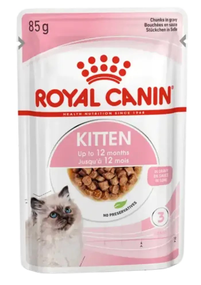 kitten gravy