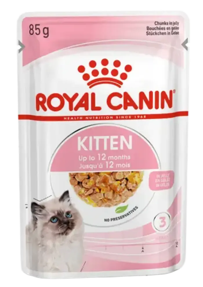 kitten jelly