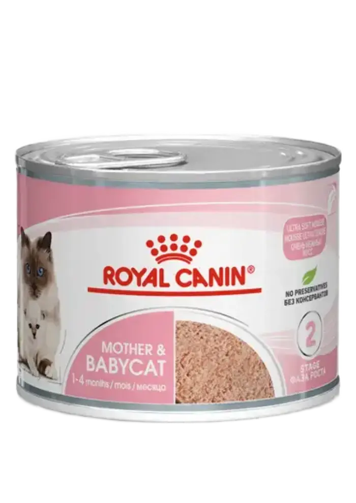 mother & babycat mousse