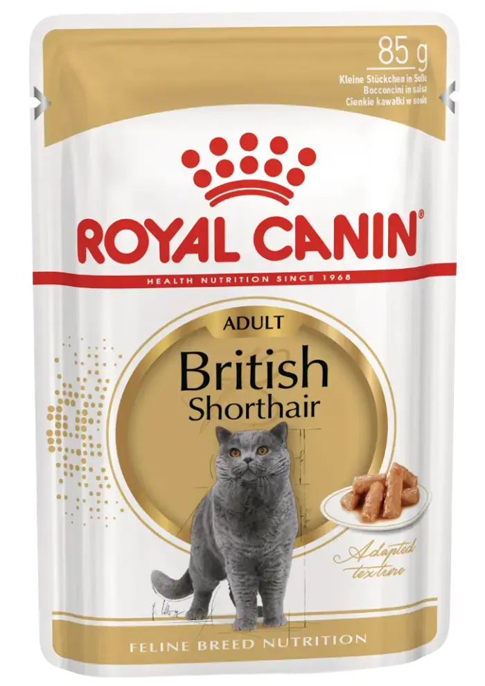 british shorthair gravy