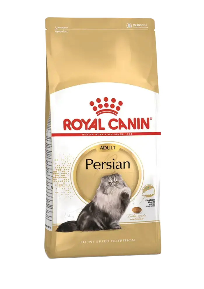 persian adult