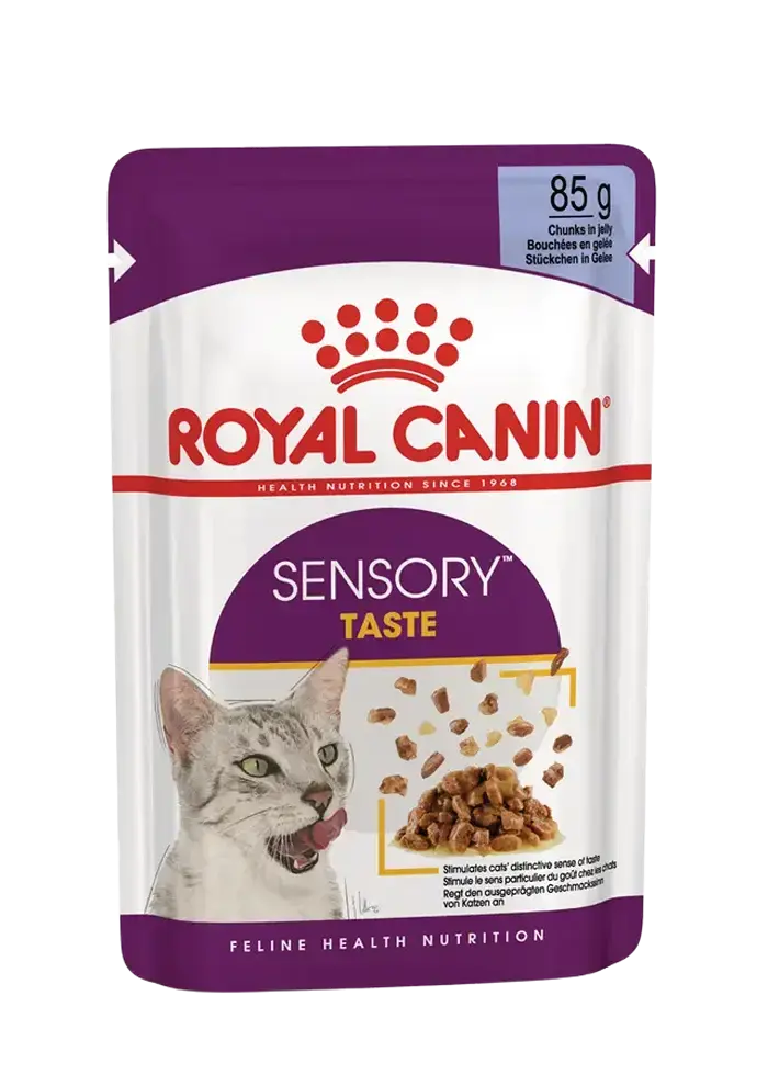 sensory taste chunks in jelly
