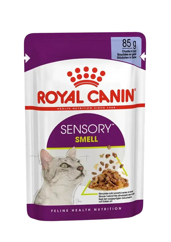 sensory smell chunks in jelly