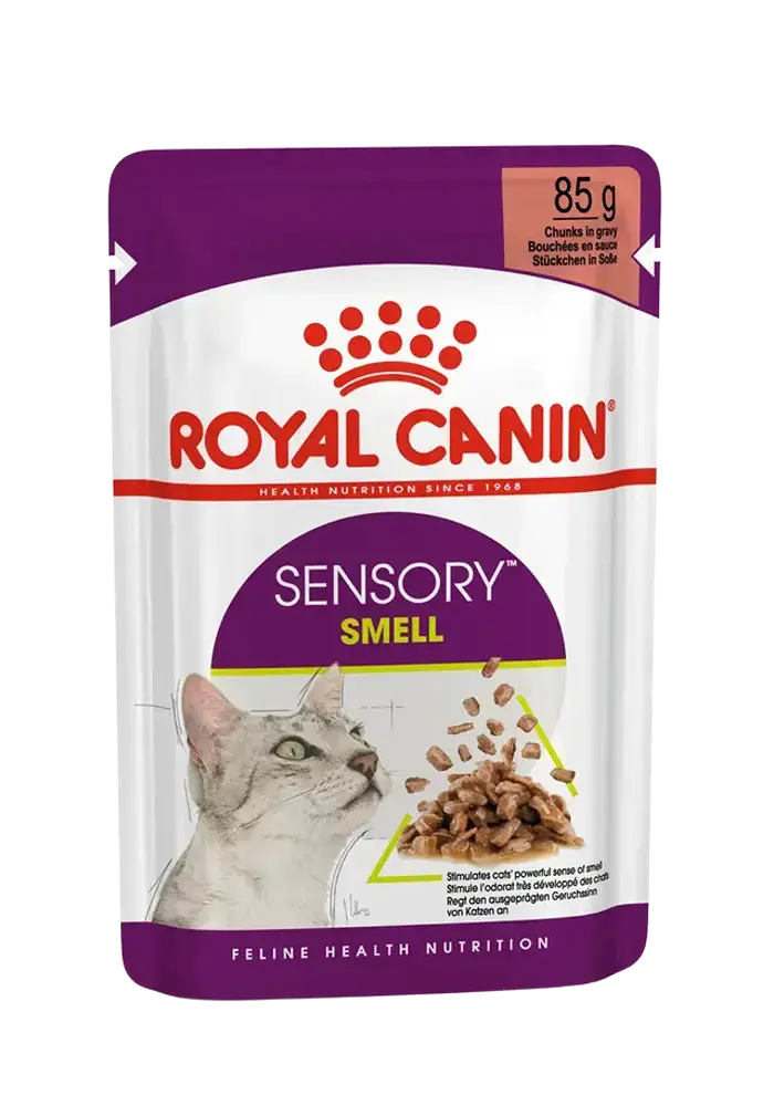 sensory smell chunks in gravy