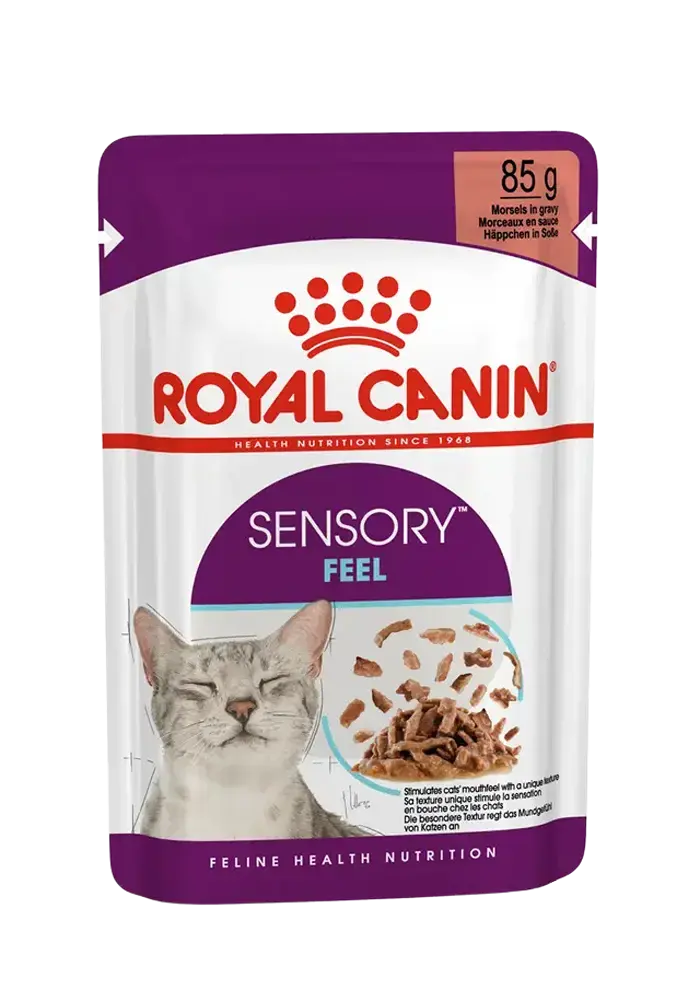 sensory feel morsels in gravy