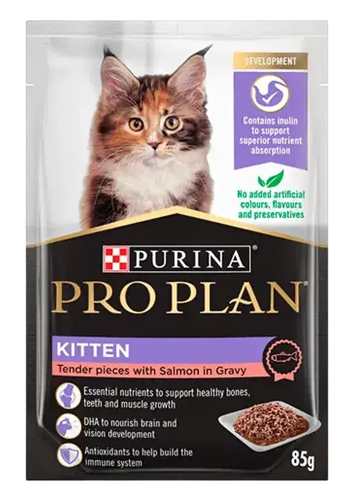 kitten tender pieces with salmon in gravy