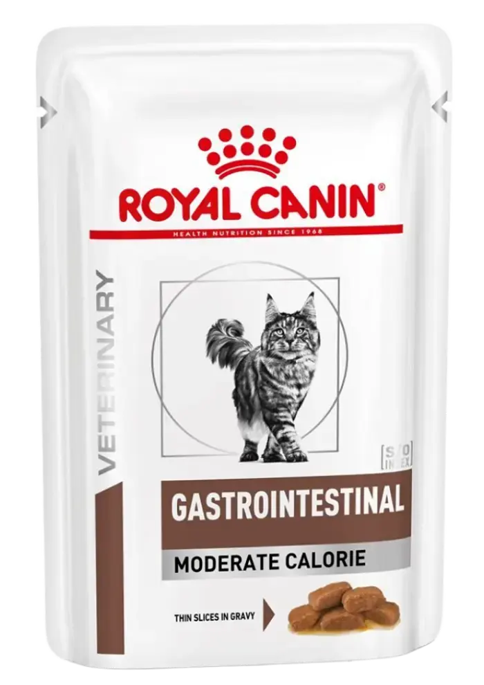 gastrointestinal moderate calorie