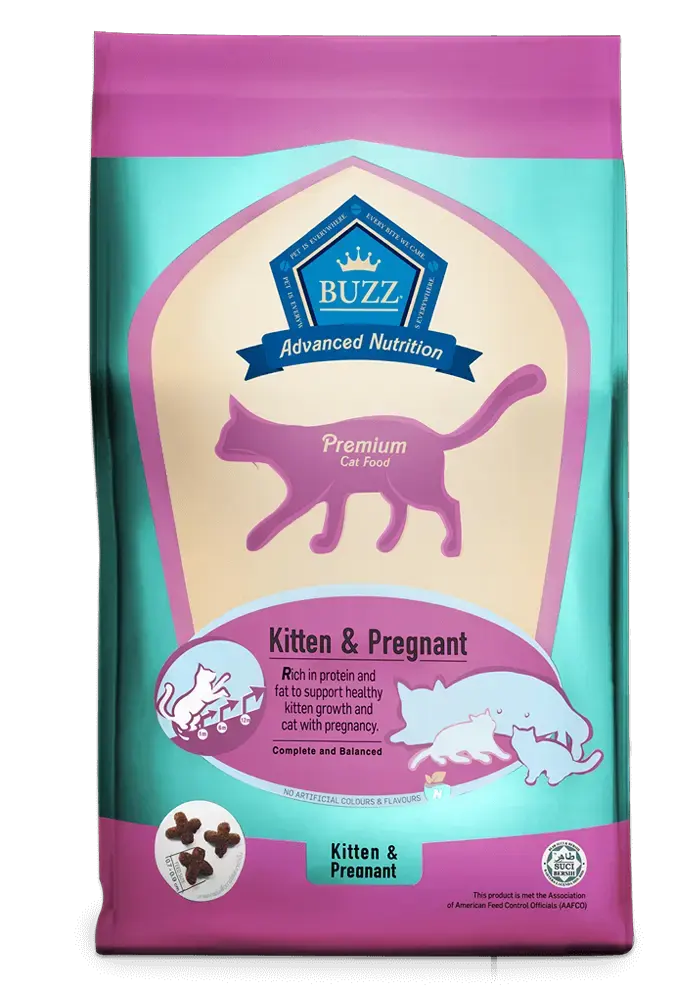 advanced nutrition kitten & pregnant