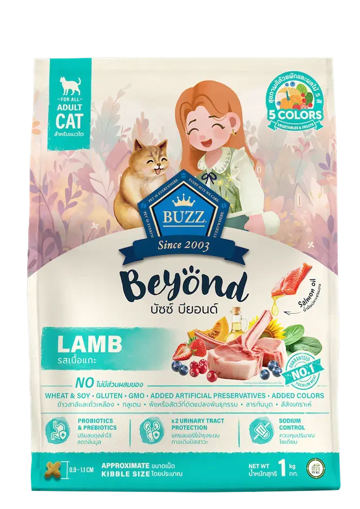 beyond lamb