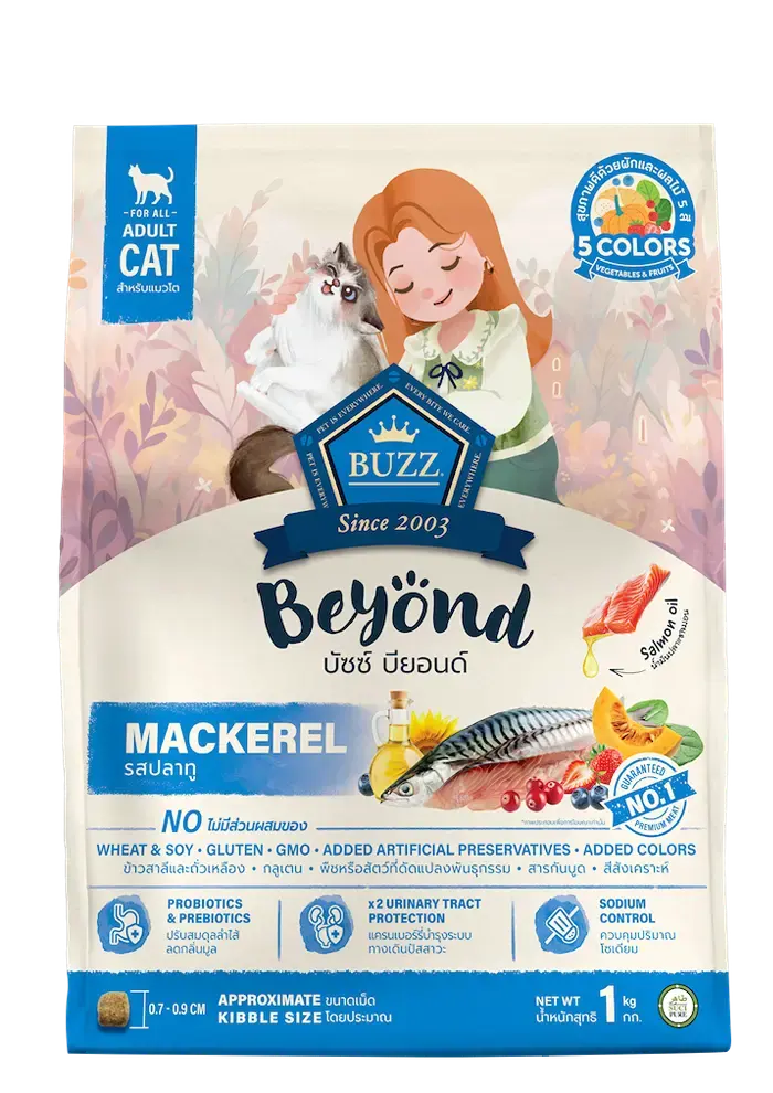 beyond mackerel