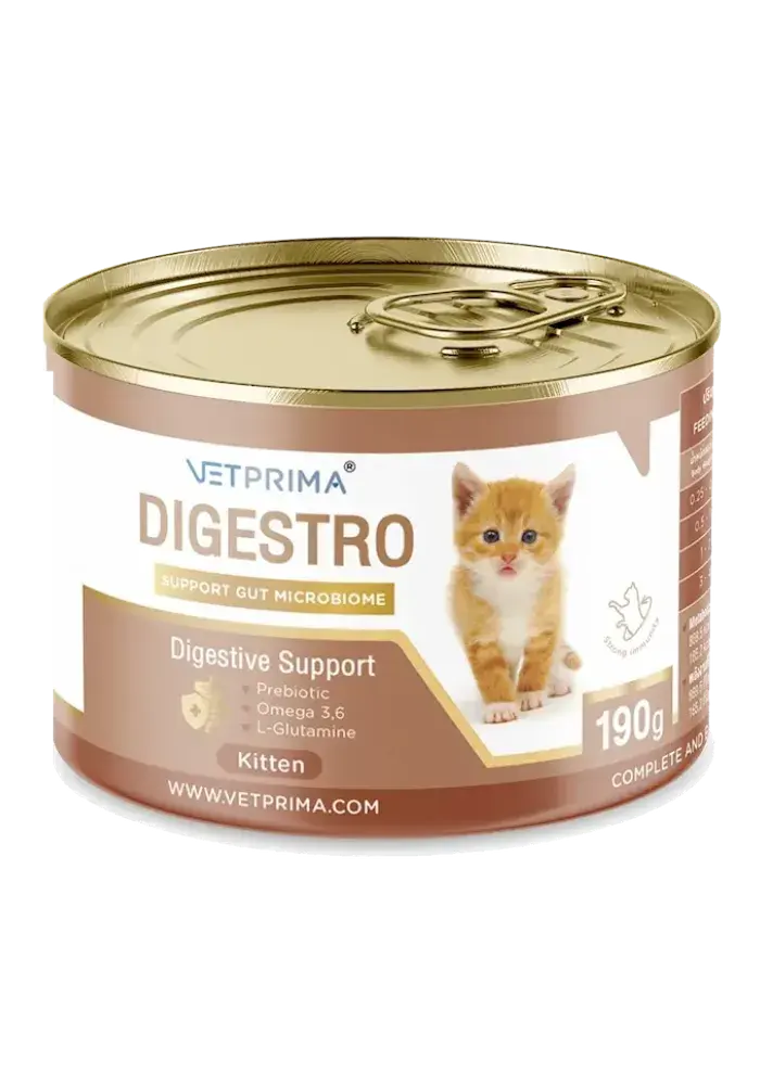 digestro digestive support kitten