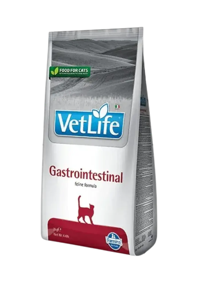 gastrointestinal feline