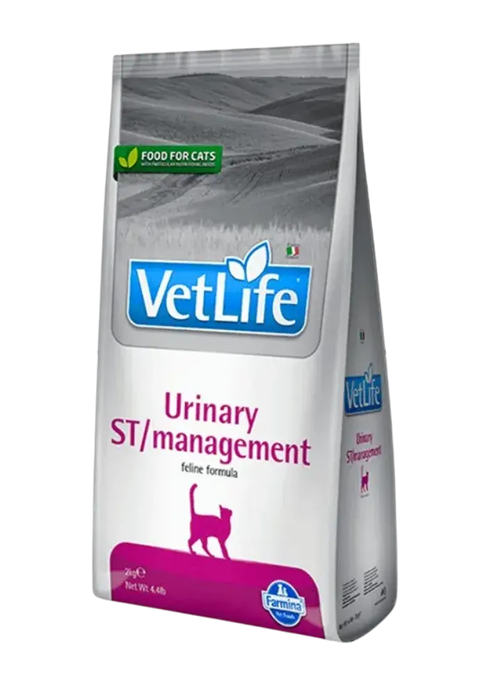 urinary st/management feline