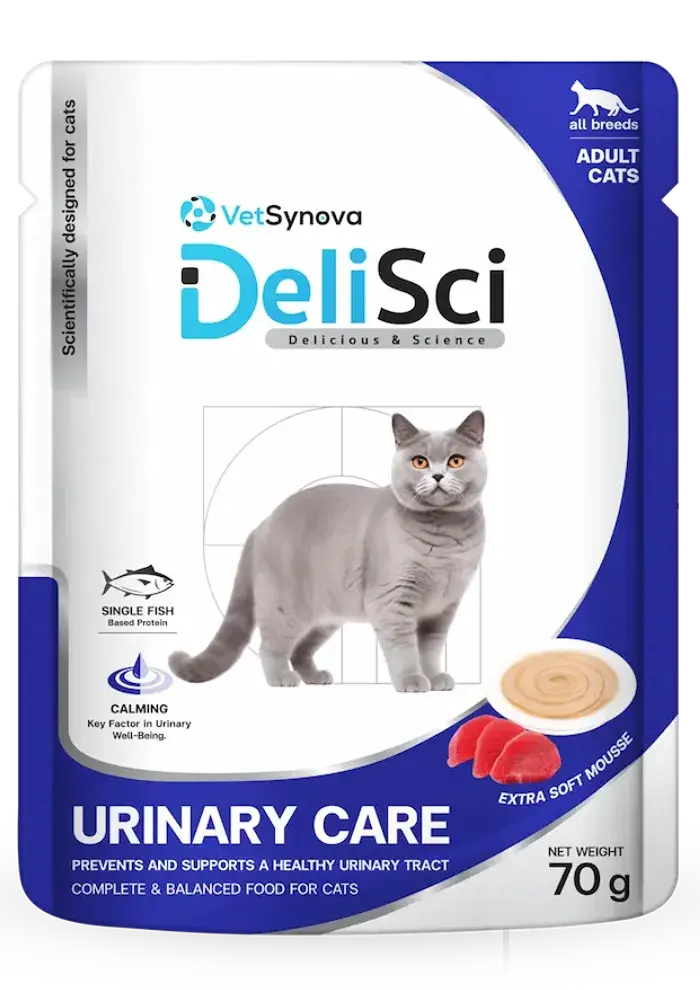 uc cat wet