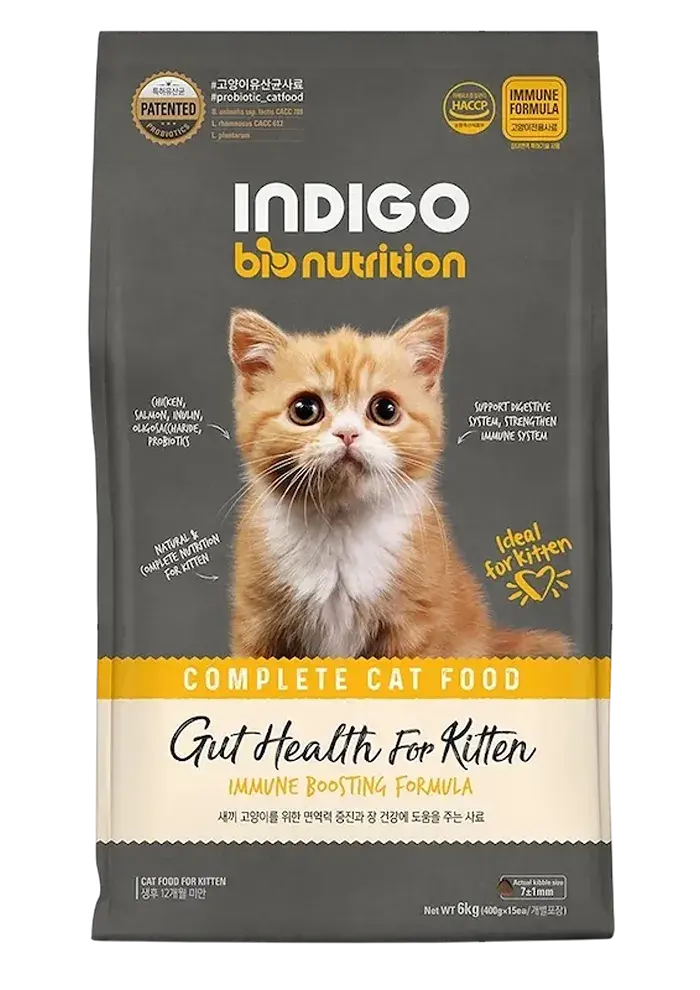 gut health for kitten