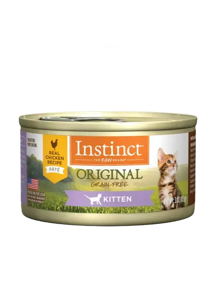 original kitten chicken wet