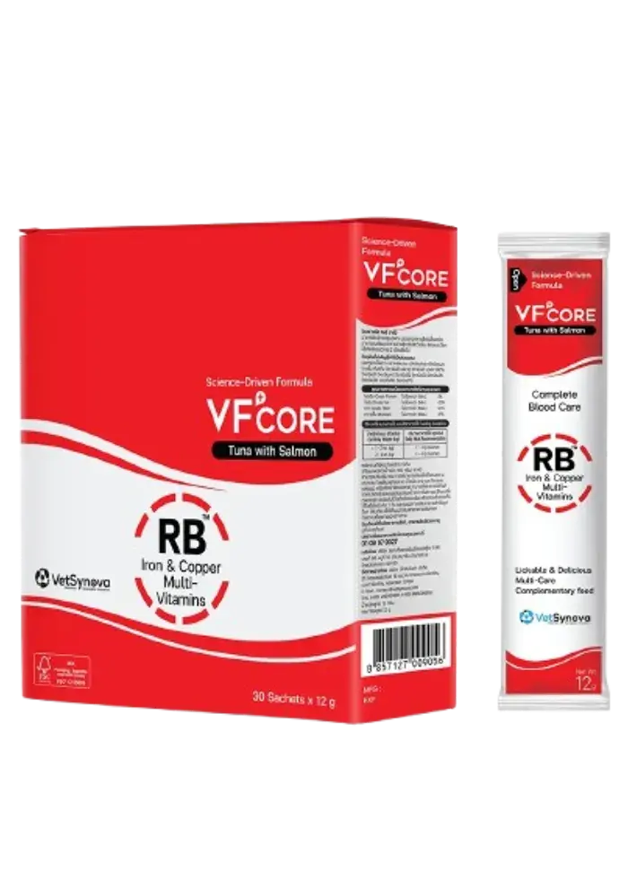 rb iron & copper multivitamin