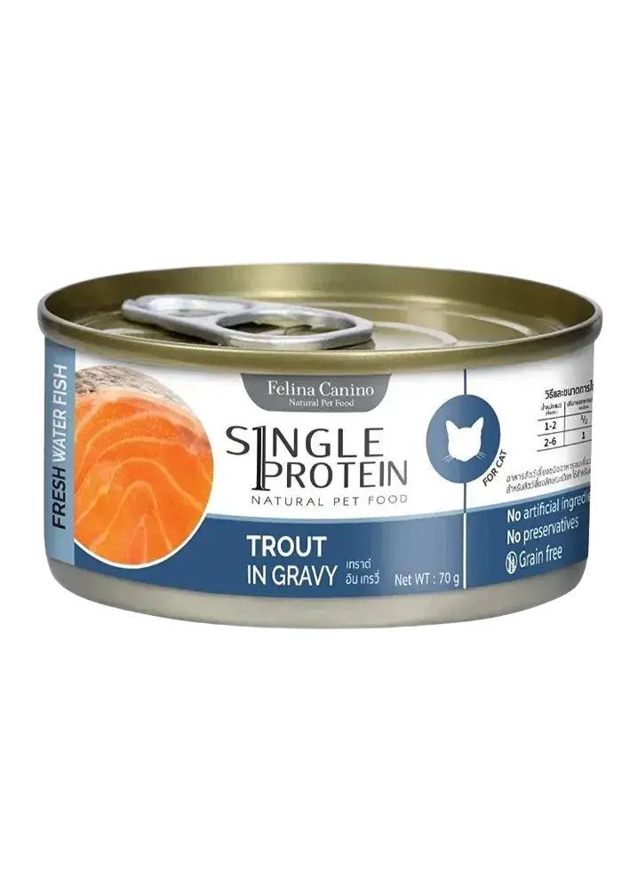 fresh water fish trout in gravy