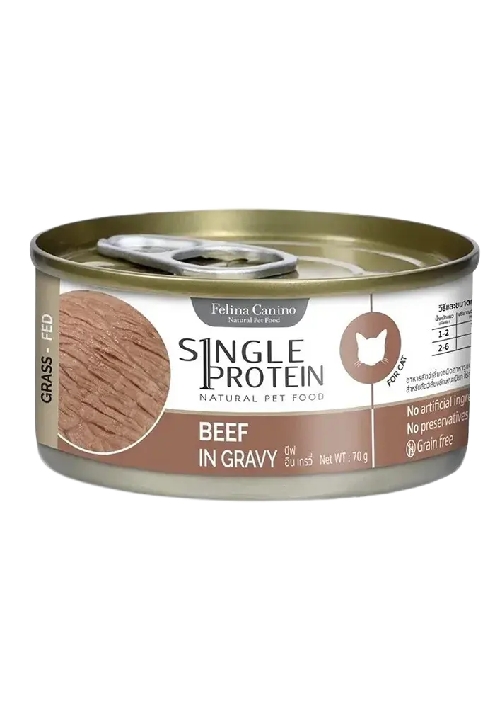 grass fed beef in gravy