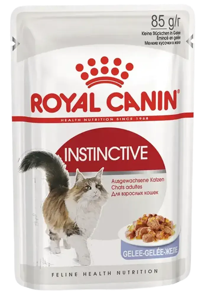 instinctive jelly