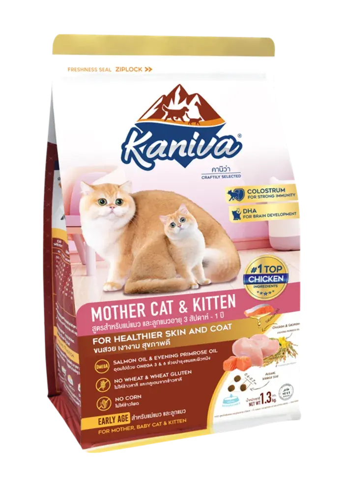mother cat & kitten