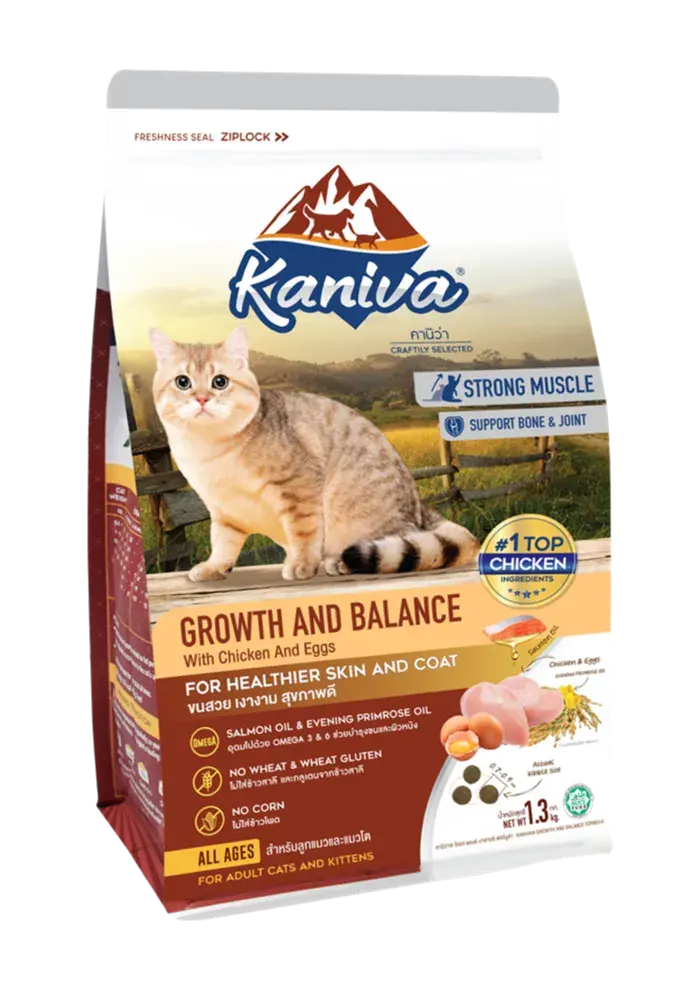 growth & balance with chicken & egg
