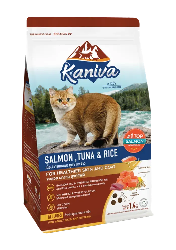 salmon, tuna & rice