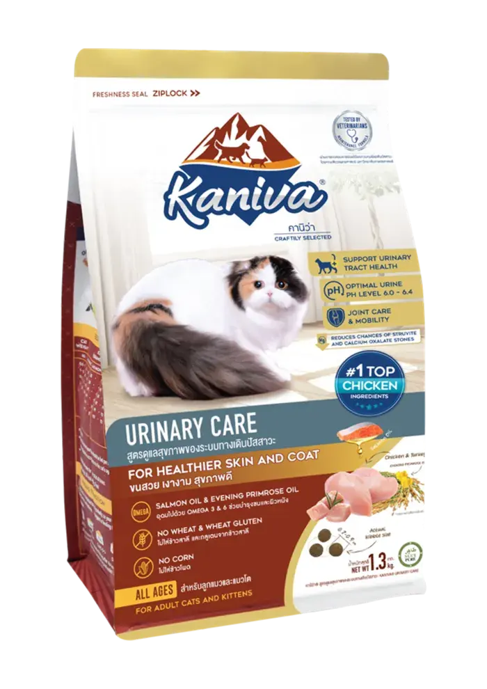 urinary care